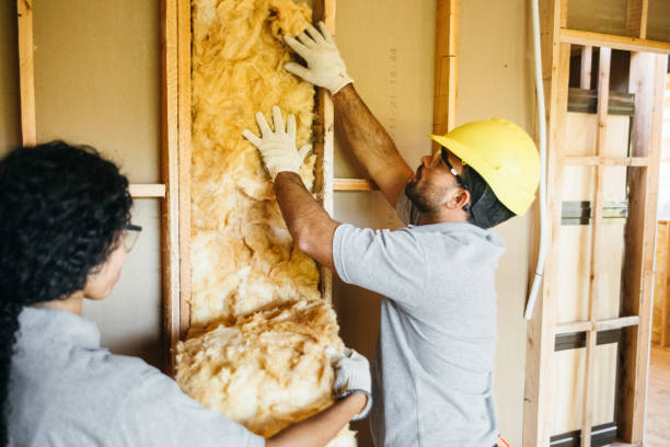 Best Crawl Space Insulation  in Lakeview, WA